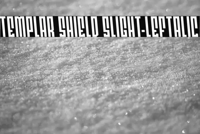 Templar Shield Slight-Leftalic Font examples