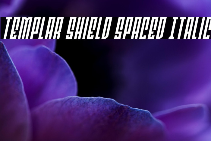 Templar Shield Spaced Italic Example 2