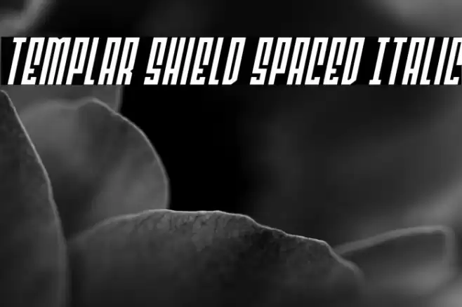 Templar Shield Spaced Italic Font examples