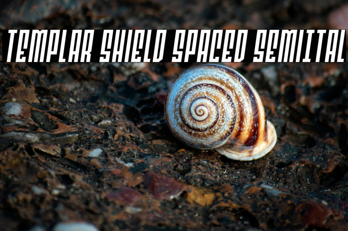 Templar Shield Spaced SemiItal Example 3