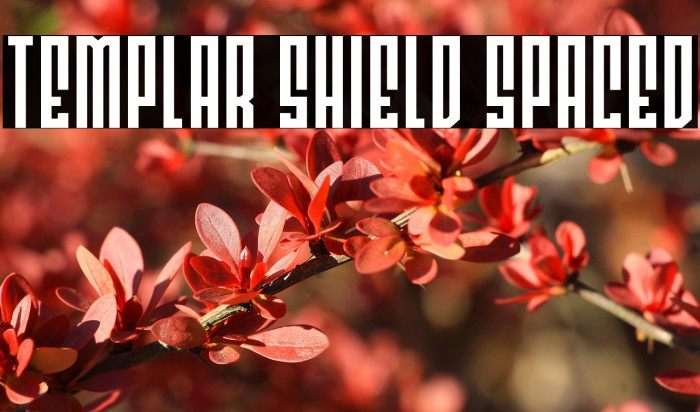 Templar Shield Spaced Example 3