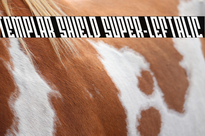 Templar Shield Super-Leftalic Example 1