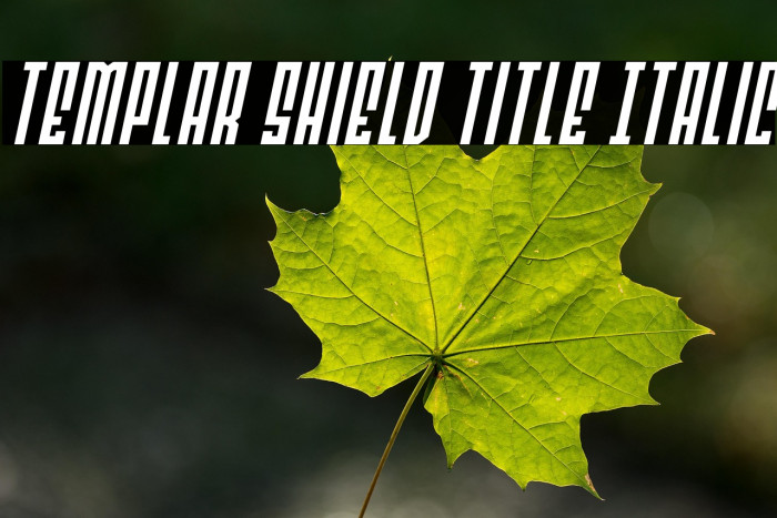 Templar Shield Title Italic Example 1