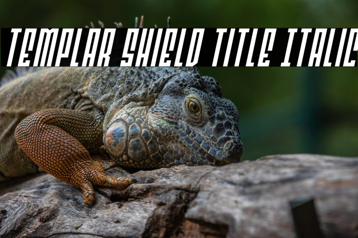 Templar Shield Title Italic Example 2