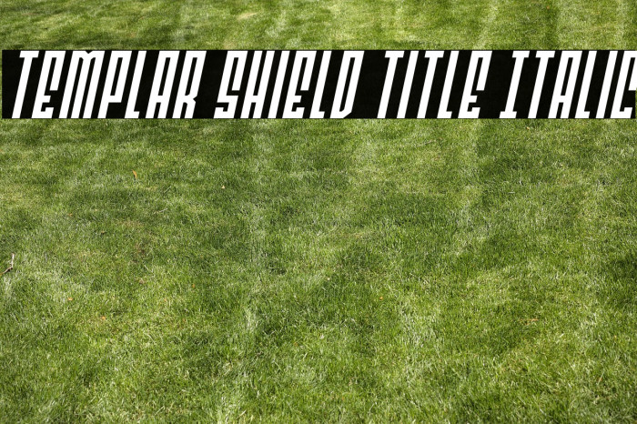 Templar Shield Title Italic Example 3