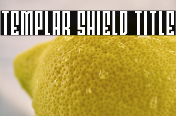 Templar Shield Title Example 1