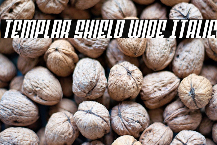Templar Shield Wide Italic Example 1