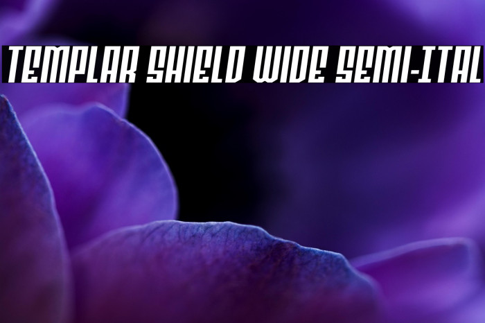 Templar Shield Wide Semi-Ital Example 2