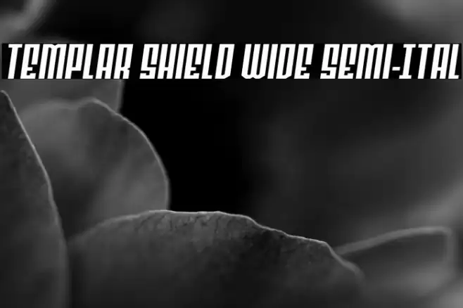 Templar Shield Wide Semi-Ital Font examples