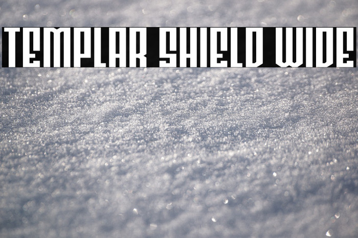 Templar Shield Wide Example 1