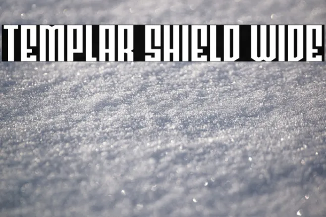 Templar Shield Wide Example 1
