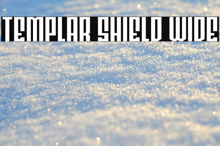 Templar Shield Wide Example 2