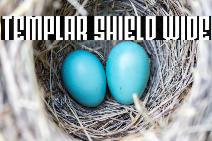 Templar Shield Wide Example 3