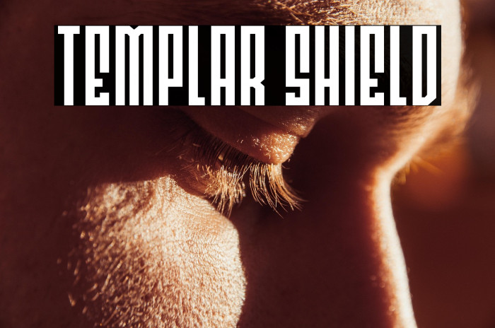 Templar Shield Example 2