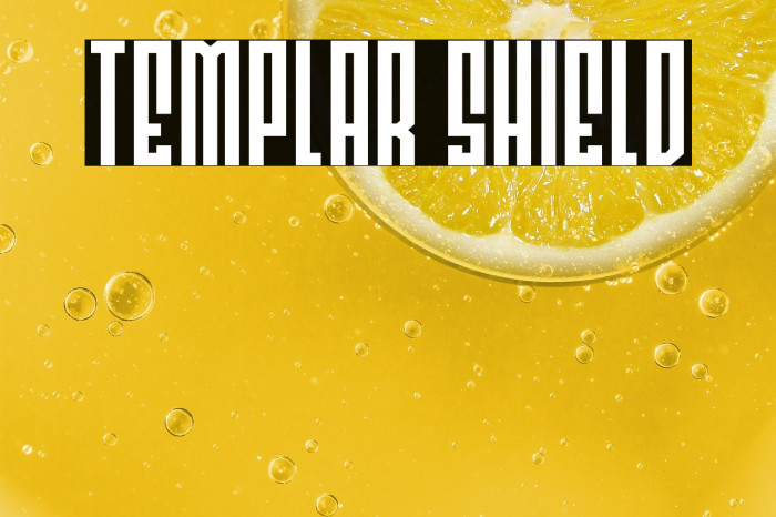 Templar Shield Example 3