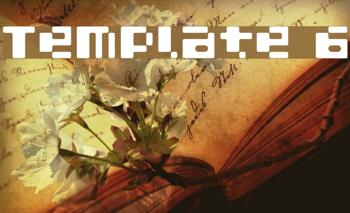 Template 6 Example 1