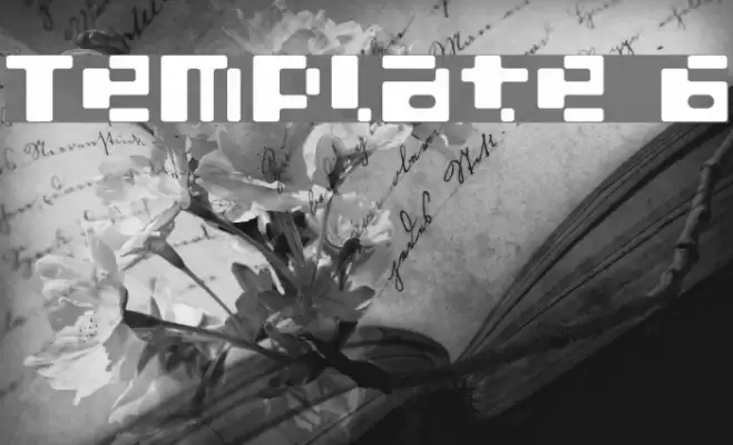 Template 6 Font examples