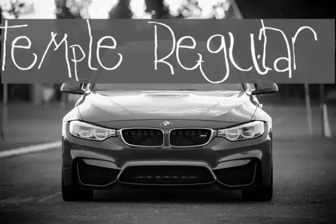 Temple Regular Font examples