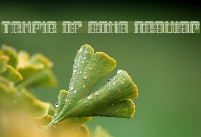 Temple of Gong Regular Font examples