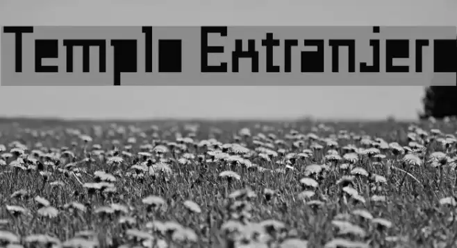 Templo Extranjero フォント examples