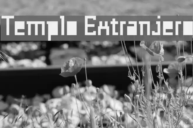 Templo Extranjero フォント examples