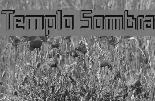 Templo Sombra Font examples