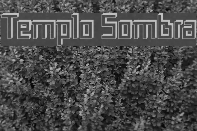 Templo Sombra Font examples