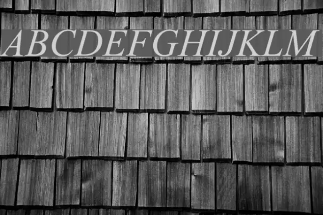 Tempo Esperanto Kursiva Font examples