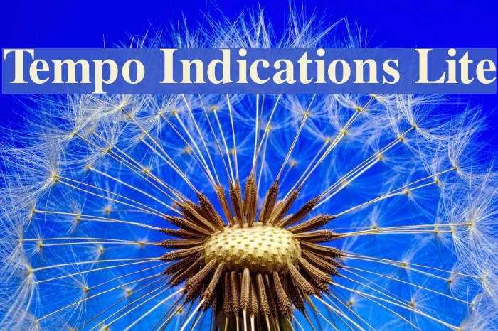 Tempo Indications Lite Font examples