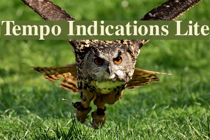 Tempo Indications Lite Font examples