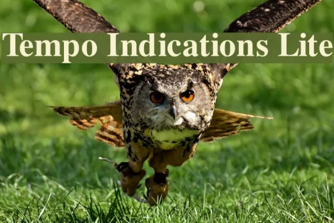 Tempo Indications Lite Example 3
