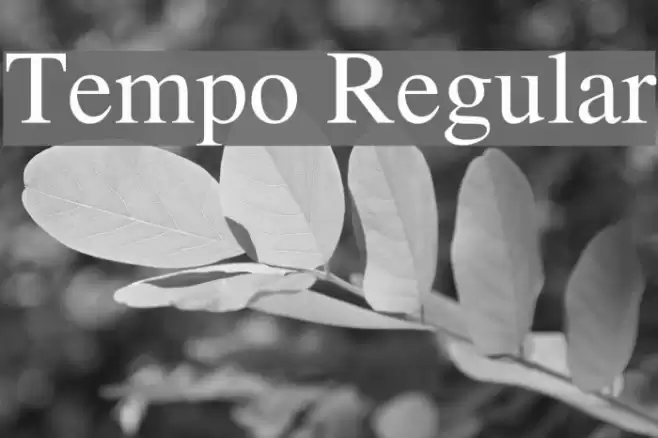 Tempo Regular Font examples