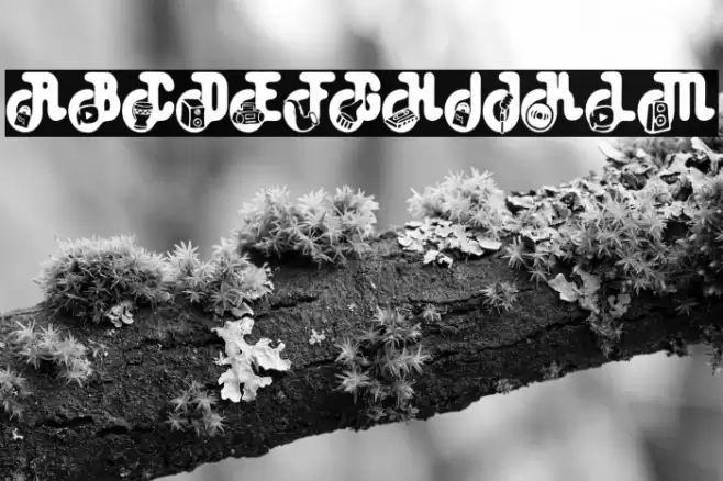 TempoFREE Font examples