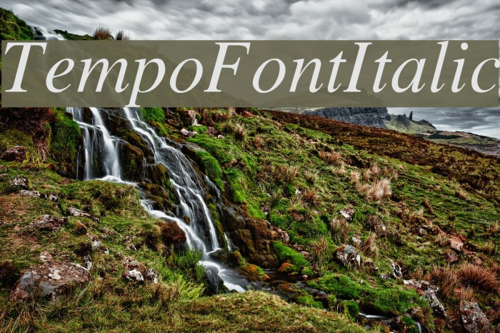 TempoFontItalic Font examples