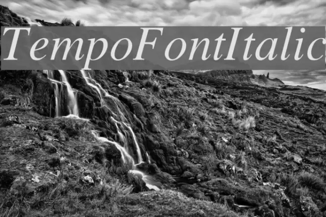 TempoFontItalic  examples