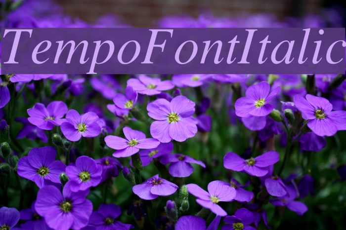TempoFontItalic Font examples