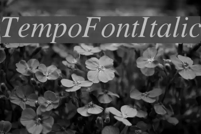 TempoFontItalic  examples
