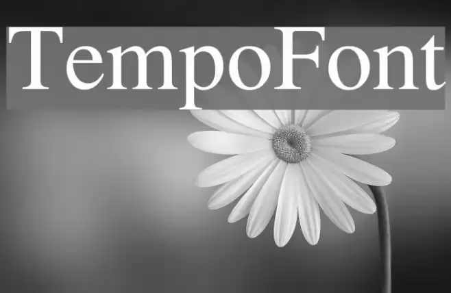 TempoFont Font examples