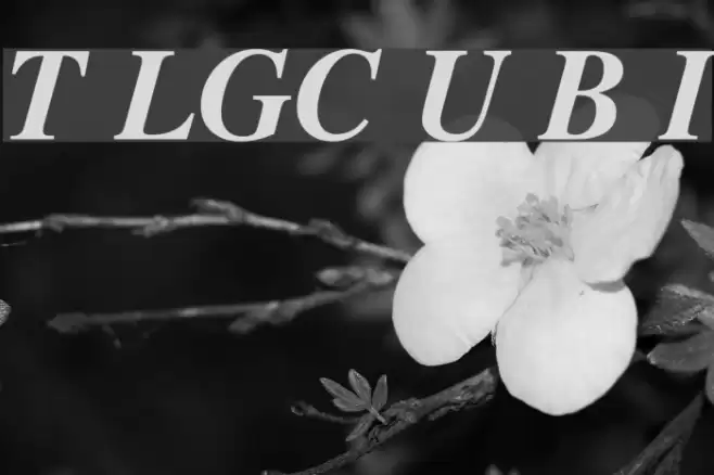 Tempora LGC Unicode Bold Italic フォント examples