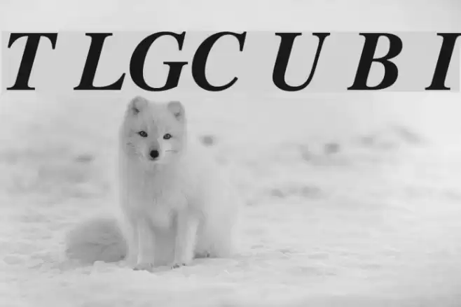 Tempora LGC Unicode Bold Italic フォント examples