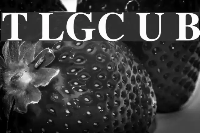 Tempora LGC Unicode Bold Font examples
