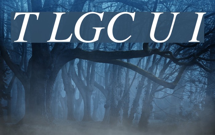 Tempora LGC Unicode Italic Fuentes examples
