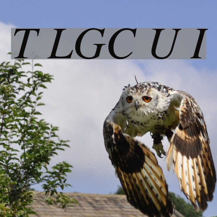 Tempora LGC Unicode Italic Fuentes examples