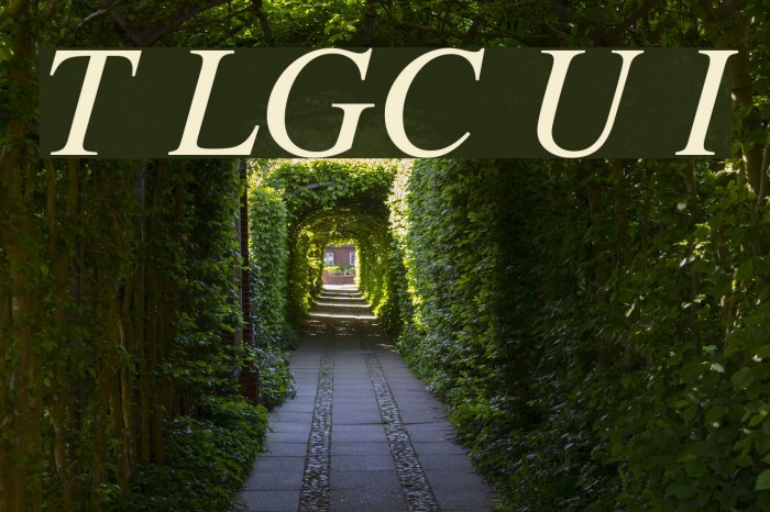 Tempora LGC Unicode Italic Fuentes examples