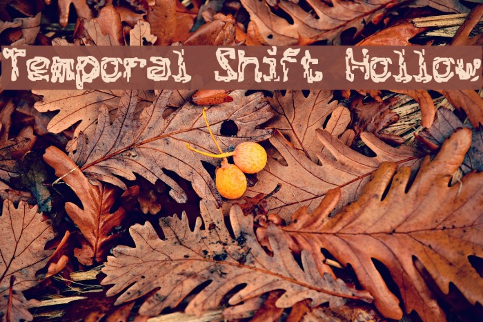 Temporal Shift Hollow Example 1