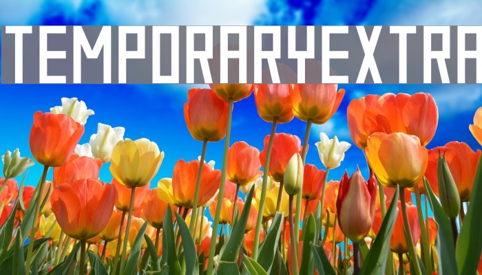 TemporaryExtra Example 2