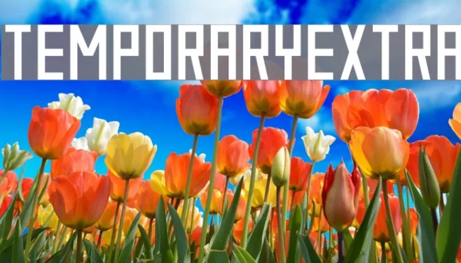 TemporaryExtra Example 2