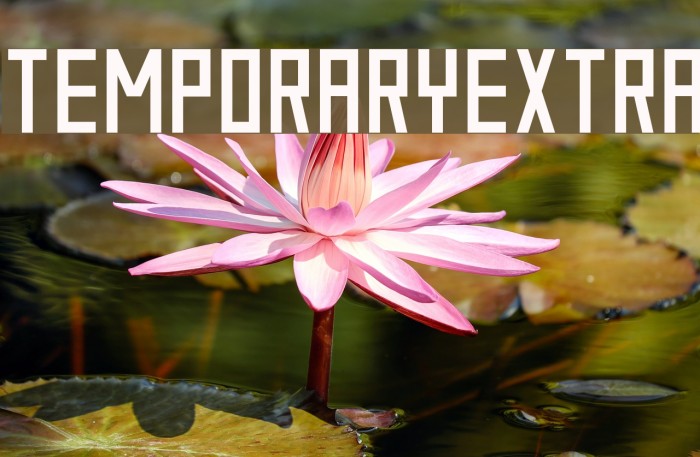 TemporaryExtra Example 3