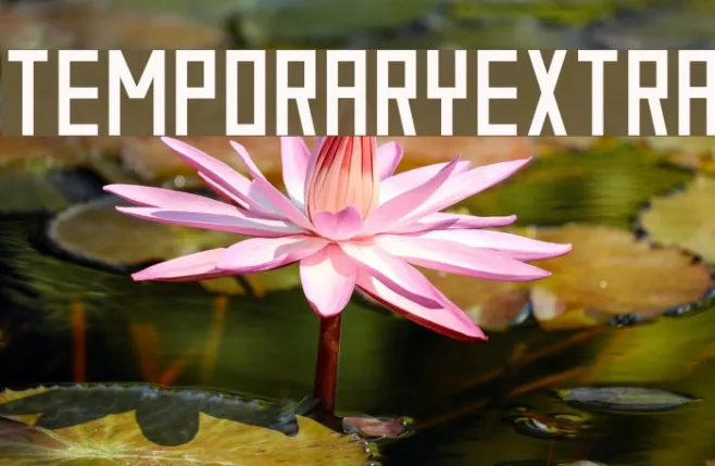 TemporaryExtra Example 3