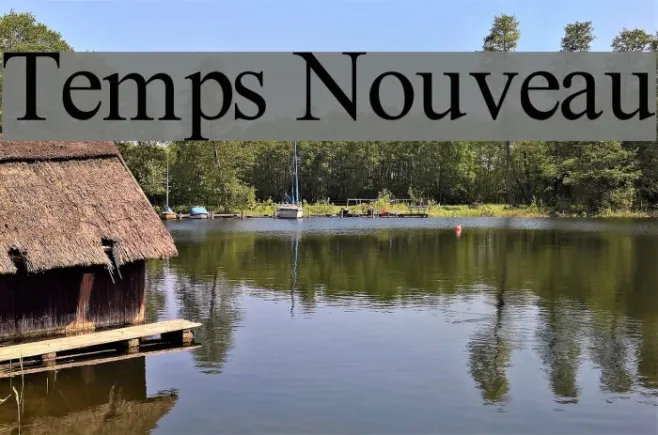 Temps Nouveau Example 3